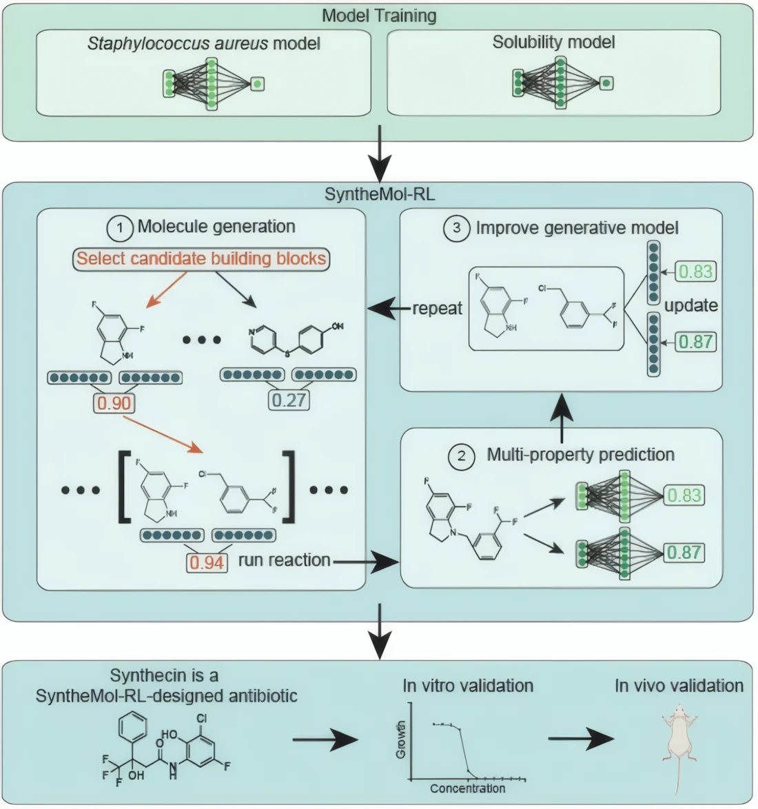 AI Antibiotic Discovery: 46B Molecules Screened to Fight MRSA 2 AI antibiotic discovery workflow using SyntheMol-RL for MRSA drug design, molecule generation, multi-property prediction, and synthecin validation in vitro and in vivo
