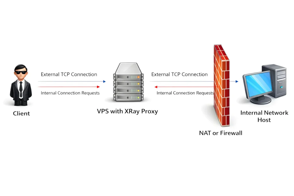 XRay Reverse Proxy (VLESS/XTLS): Port Forwarding, NAT Access & Pseudo VPN 2 simple diagram of XRay client portal bridge connection through reverse proxy