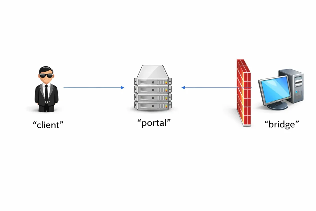 XRay Reverse Proxy (VLESS/XTLS): Port Forwarding, NAT Access & Pseudo VPN 3 diagram showing XRay reverse proxy with client VPS server and internal host behind NAT firewall